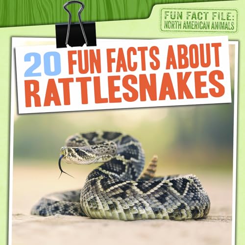 20 Fun Facts About Rattlesnakes (Fun Fact File: North American Animals) von Gareth Stevens Publishing